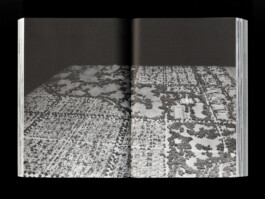 Publication: Piles of Earth and Rubble. München / Gyeongju