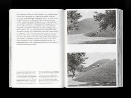 Publication: Piles of Earth and Rubble. München / Gyeongju